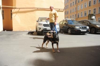 Санкт-Петербург. Сергей, накрывший собой свою старенькую собаку Маню, защищая ее от нападения двух разъяренных стаффордов.