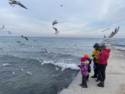 Украина. Одесса. Люди кормят чаек на набережной Черного моря.