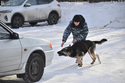 Москва. Служебная собака во время занятий с кинологом в Центре кинологической службы УВД по СВАО.