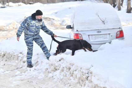 Москва. Служебная собака во время занятий с кинологом в Центре кинологической службы УВД по СВАО.