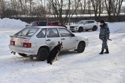 Москва. Служебная собака во время занятий с кинологом в Центре кинологической службы УВД по СВАО.