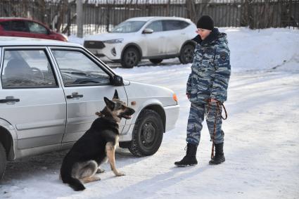 Москва. Служебная собака во время занятий с кинологом в Центре кинологической службы УВД по СВАО.