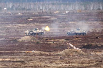 Белоруссия. Брестская область. Бронетранспортеры БТР-82 во время совместных учений России и Белоруссии `Союзная решимость-2022` на полигоне Обуз-Лесновский.