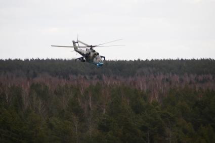 Белоруссия. Брестская область. Вертолет Ми-24 во время совместных учений России и Белоруссии `Союзная решимость-2022` на полигоне Обуз-Лесновский.