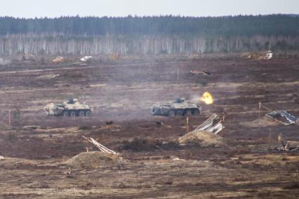 Белоруссия. Брестская область. Бронетранспортеры БТР-82 во время совместных учений России и Белоруссии `Союзная решимость-2022` на полигоне Обуз-Лесновский.