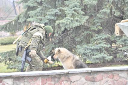 Киевская область. Вышгородский район. Военная операции РФ по демилитаризации Украины. Российские войска контролируют Чернобыльскую АЭС. Военнослужащий кормит собаку.