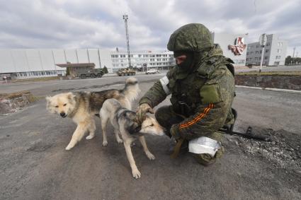 Киевская область. Вышгородский район. Военная операции РФ по демилитаризации Украины. Российские войска контролируют Чернобыльскую АЭС. Военнослужащий гладит собак.