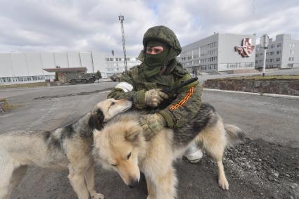 Киевская область. Вышгородский район. Военная операции РФ по демилитаризации Украины. Российские войска контролируют Чернобыльскую АЭС. Военнослужащий гладит собак.