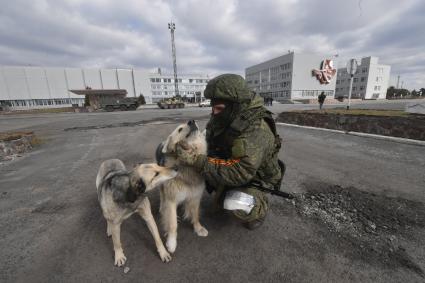 Киевская область. Вышгородский район. Военная операции РФ по демилитаризации Украины. Российские войска контролируют Чернобыльскую АЭС. Военнослужащий гладит собак.