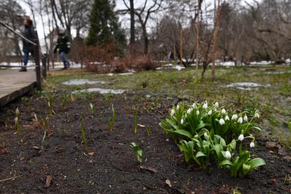 Москва.  Девочка   в ботаническом саду МГУ `Аптекарский огород `.