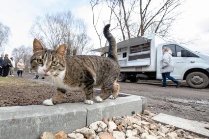 Московская область. Работа автолавки в селах Домодедовского городского округа.