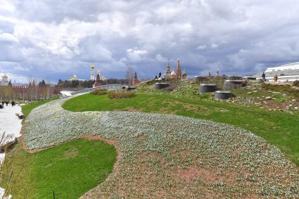 Москва. В природно-ландшафтном парке Зарядье распустились первые весенние цветы.