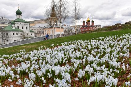 Москва. В природно-ландшафтном парке Зарядье распустились первые весенние цветы.