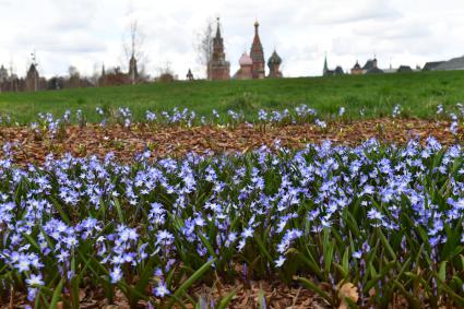 Москва. В природно-ландшафтном парке Зарядье распустились первые весенние цветы.