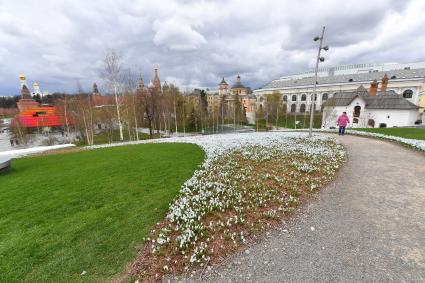 Москва. В природно-ландшафтном парке Зарядье распустились первые весенние цветы.