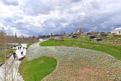 Москва. В природно-ландшафтном парке Зарядье распустились первые весенние цветы.