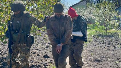 Харьковская область. Бойцы ВСУ, попавшие в плен под Большой Камышевахой.