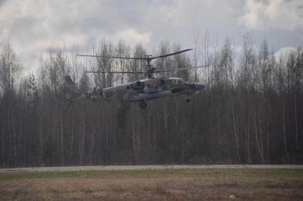 Московская область. г.Клин. Боевой разведывательно-ударный вертолёт Ка-52 на авиабазе Клин-5 перед началом репетиции воздушной части парада, посвященного 77-й годовщине Победы в Великой Отечественной войне.