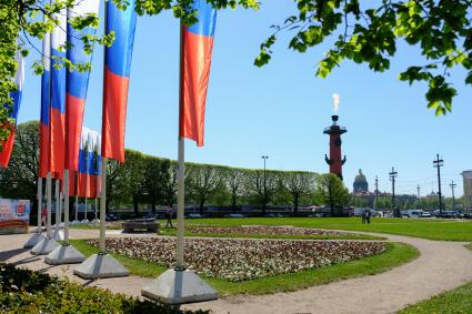 Санкт-Петербург. Ростральная колонна на стрелке Васильевского острова.