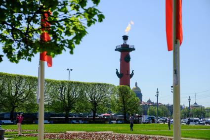 Санкт-Петербург. Ростральная колонна на стрелке Васильевского острова.