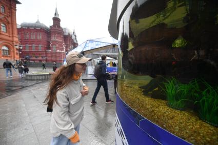 Москва. Посетители гастрономического фестиваля  `Рыбная неделя`  на Манежной площади.