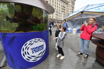 Москва. Посетители гастрономического фестиваля `Рыбная неделя` на Манежной площади.