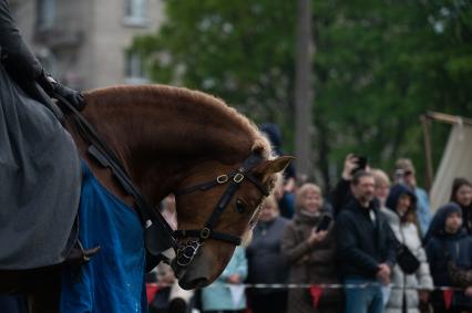 Санкт-Петербург. Во время 13-го молодежного историко-патриотического фестиваля `Кубок Александра Невского` в Любашинском саду.