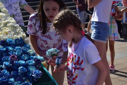 Краснодар. Самый большой  флаг России из роз собрали на главной площади города  к празднику День России.