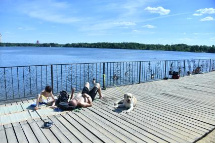 Москва.  Москвичи купаются и загорают на пляже в Строгино.