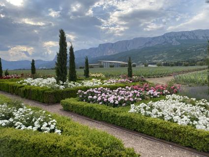 Крым. п.Понизовка. Центр винного туризма Winepark.