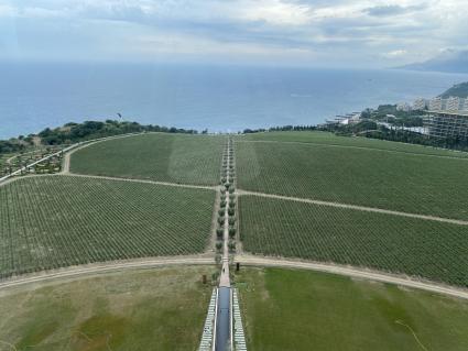 Крым. п.Понизовка. Центр винного туризма Winepark.