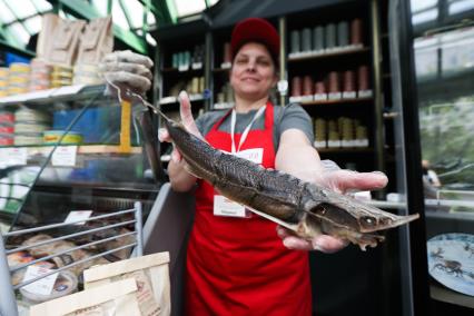 Москва. Торговля на гастрономическом фестивале `Вкусы России` на Тверской улице.