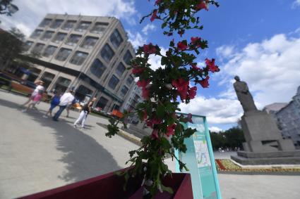 Москва.   Вид на памятник Тимирязеву на  площади Никитских ворот, где проходит  фестиваль \"Цветочный джем: тропическое лето\" .