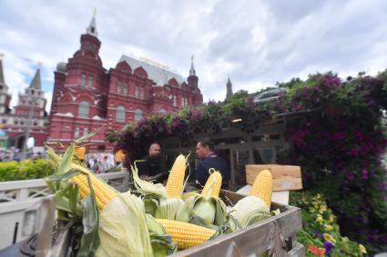 Москва.  Посетители   во время фестиваля \"Цветочный джем: тропическое лето\" на Манежной площади.