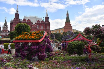 Москва.  Посетители   во время фестиваля \"Цветочный джем: тропическое лето\" на Манежной площади.