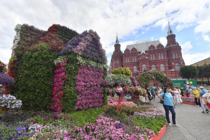 Москва.  Посетители   во время фестиваля \"Цветочный джем: тропическое лето\" на Манежной площади.