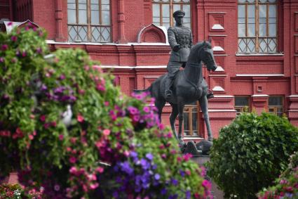 Москва.  Во время фестиваля \"Цветочный джем: тропическое лето\" на Манежной площади.