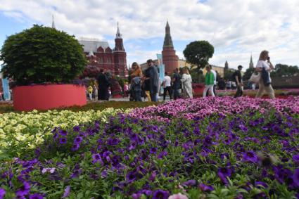 Москва.  Посетители   во время фестиваля \"Цветочный джем: тропическое лето\" на Манежной площади.