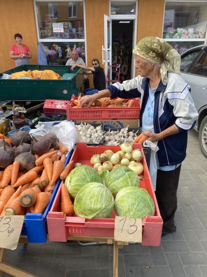 Запорожская область. г.Мелитополь. Центральный рынок. Продажа овощей.