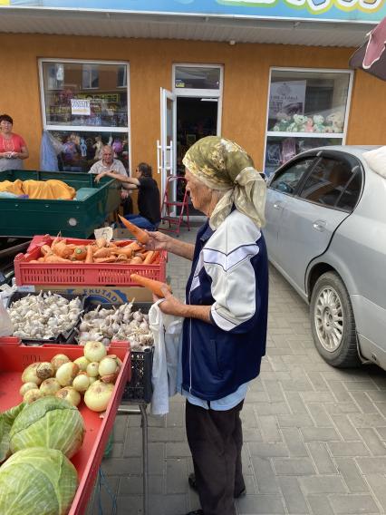 Запорожская область. г.Мелитополь. Центральный рынок. Продажа овощей.