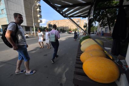 Москва.  Продажа арбузов  и дынь на фестивале `Московское варенье. Возвращение легенды`.