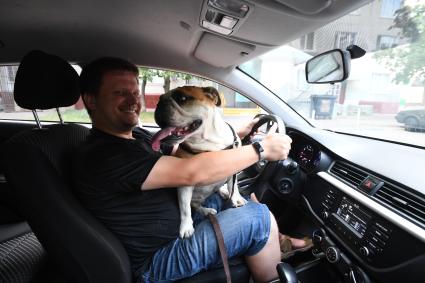 Москва. Корреспондент `Комсомольской правды` Олег Адамович с собакой в автомобиле сервиса каршеринга `Делимобиль`.