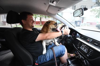 Москва. Корреспондент `Комсомольской правды` Олег Адамович с собакой в автомобиле сервиса каршеринга `Делимобиль`.