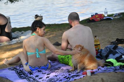 Москва. Пара с собачкой отдыхают на пляже в Косино.