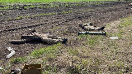 Харьковская область. Трупы украинских военных.