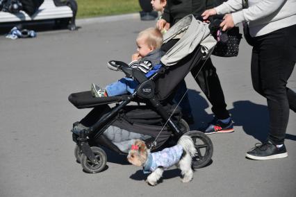 Москва.    Ребенок в коляске и  маленькая собачка.