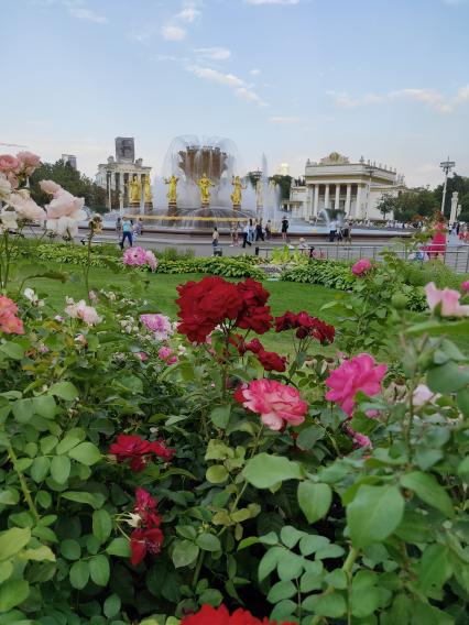 Москва. Вид на фонтан `Дружба народов` на ВДНХ.