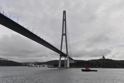 Россия. Приморский край.  Вид на Русский Мост во Владивостоке.