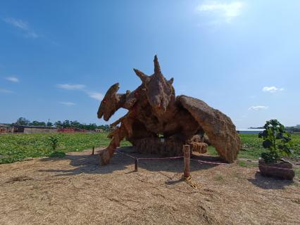 Ставропольский край, с. Красное. Парк соломенных фигур в КФХ `Пономарево`.