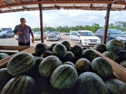 Ставропольский край, с. Красное. Продажа арбузов на ярмарке КФХ `Пономарево`.